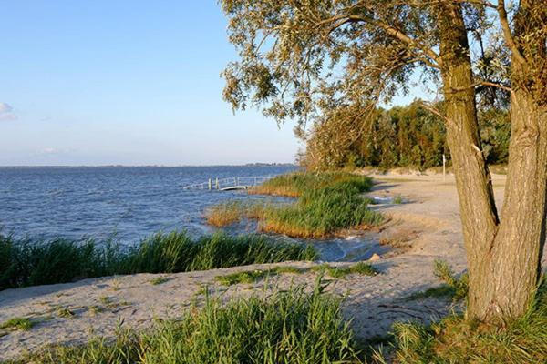 Huus Am Darss Vila Fuhlendorf  Exterior foto